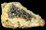 Pyrite On Calcite - El Hammam Mine, Morocco #80359-1